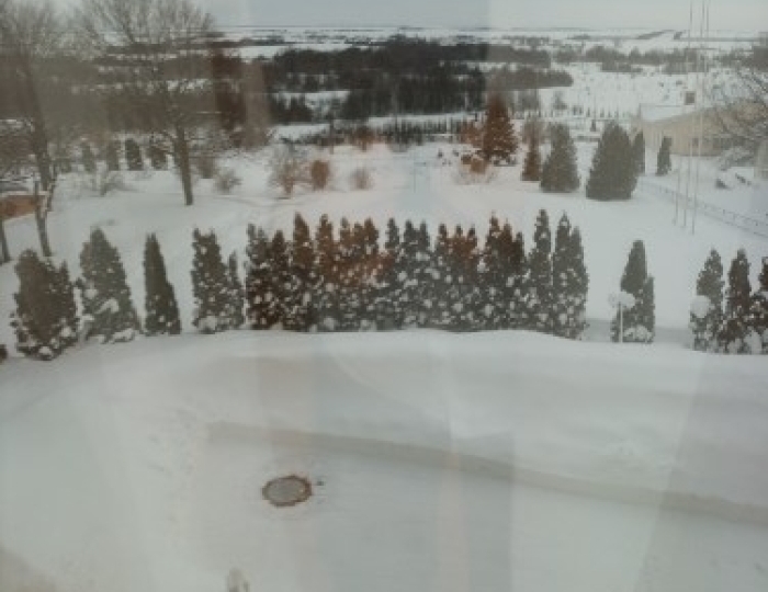 Джуниор сюит 3-местный 1 комнатный - Санаторий Tatneft / Татнефть Вишневая поляна Нурлат